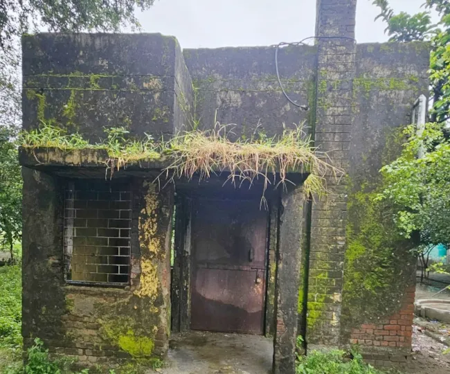 काशीराम कॉलोनी में नलकूप के कमरे के बाहर उगी घास, दीवारों पर जमी कीट। जागरण